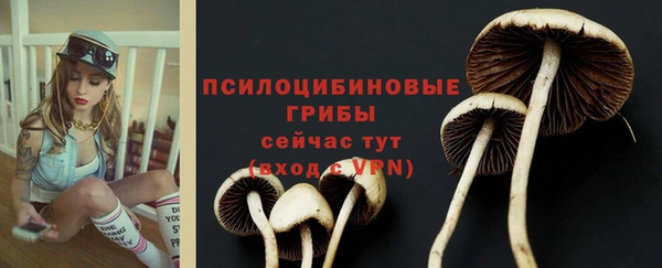 дмт Корсаков