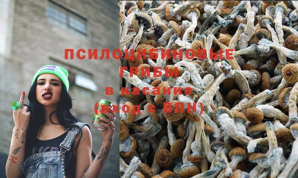 дмт Корсаков